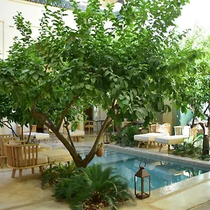 4* Affittacamere Emberiza Sahari